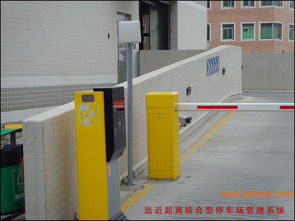 河北衡水盛宇門業(yè)制造廠批發(fā)供應(yīng)車庫(kù)門,鐵藝門,工業(yè)門,防盜門